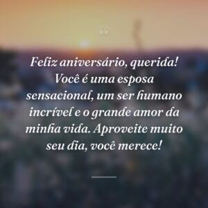 Feliz aniversário, querida! Você é uma esposa sensacional, um ser humano incrível e o grande amor da minha vida. Aproveite muito seu dia, você merece!