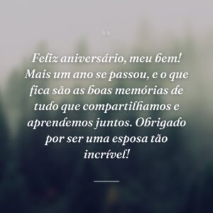Feliz aniversário, meu bem! Mais um ano se passou, e o que fica são as boas memórias de tudo que compartilhamos e aprendemos juntos. Obrigado por ser uma esposa tão incrível!