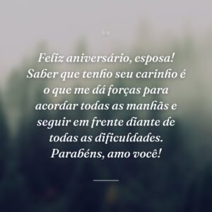 Feliz aniversário, esposa! Saber que tenho seu carinho é o que me dá forças para acordar todas as manhãs e seguir em frente diante de todas as dificuldades. Parabéns, amo você!