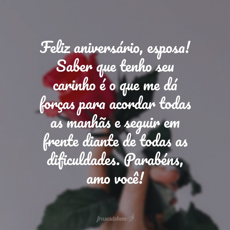 Feliz aniversário, esposa! Saber que tenho seu carinho é o que me dá forças para acordar todas as manhãs e seguir em frente diante de todas as dificuldades. Parabéns, amo você!