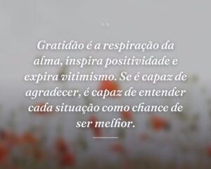Gratidão é a respiração da alma, inspira positividade e expira vitimismo. Se é capaz de agradecer, é capaz de entender cada situação como chance de ser melhor.