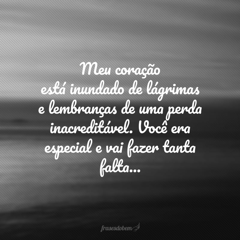 Meu coração está inundado de lágrimas e lembranças de uma perda inacreditável. Você era especial e vai fazer tanta falta...