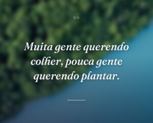 Muita gente querendo colher, pouca gente querendo plantar.