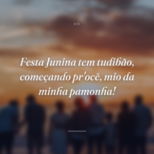 Festa Junina tem tudibão, começando pr'ocê, mio da minha pamonha!