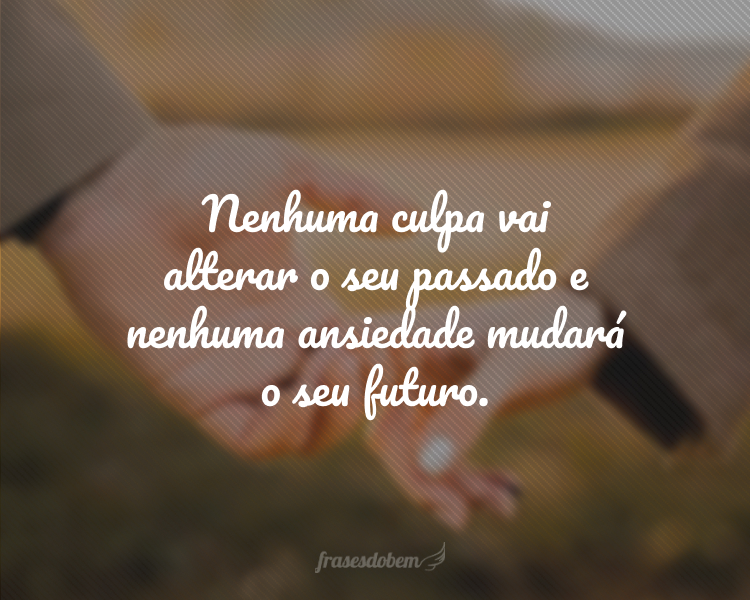 Nenhuma culpa vai alterar o seu passado e nenhuma ansiedade mudará o seu futuro.