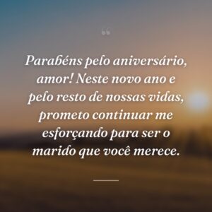 Parabéns pelo aniversário, amor! Neste novo ano e pelo resto de nossas vidas, prometo continuar me esforçando para ser o marido que você merece.