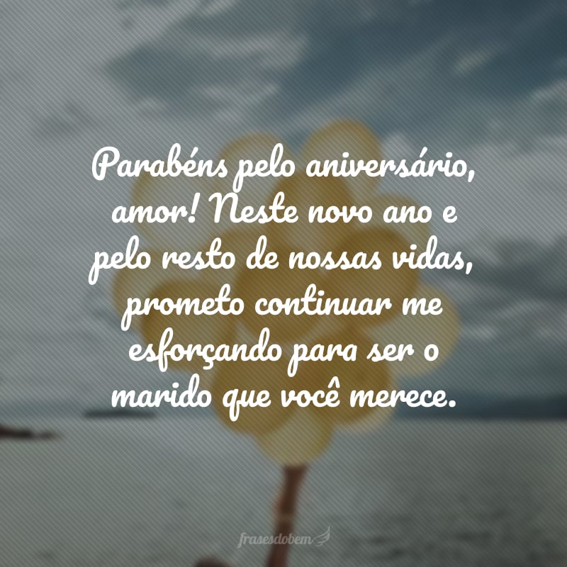 Parabéns pelo aniversário, amor! Neste novo ano e pelo resto de nossas vidas, prometo continuar me esforçando para ser o marido que você merece.