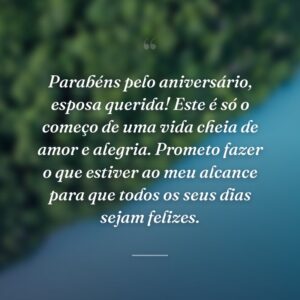 Parabéns pelo aniversário, esposa querida! Este é só o começo de uma vida cheia de amor e alegria. Prometo fazer o que estiver ao meu alcance para que todos os seus dias sejam felizes.