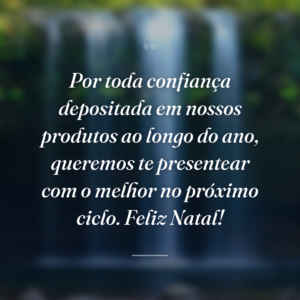 Por toda confiança depositada em nossos produtos ao longo do ano, queremos te presentear com o melhor no próximo ciclo. Feliz Natal!
