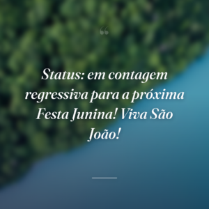 Status: em contagem regressiva para a próxima Festa Junina! Viva São João!