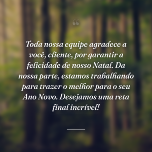 Toda nossa equipe agradece a você, cliente, por garantir a felicidade de nosso Natal. Da nossa parte, estamos trabalhando para trazer o melhor para o seu Ano Novo. Desejamos uma reta final incrível!