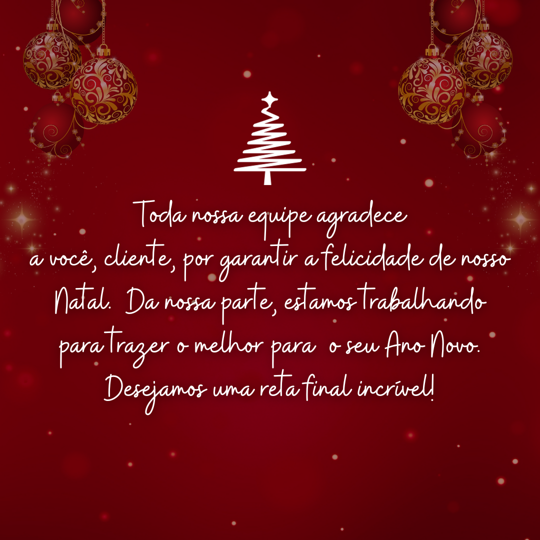 Toda nossa equipe agradece a você, cliente, por garantir a felicidade de nosso Natal. Da nossa parte, estamos trabalhando para trazer o melhor para o seu Ano Novo. Desejamos uma reta final incrível!