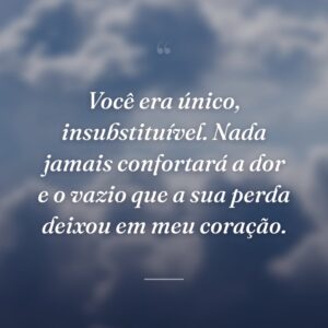 Você era único, insubstituível. Nada jamais confortará a dor e o vazio que a sua perda deixou em meu coração.