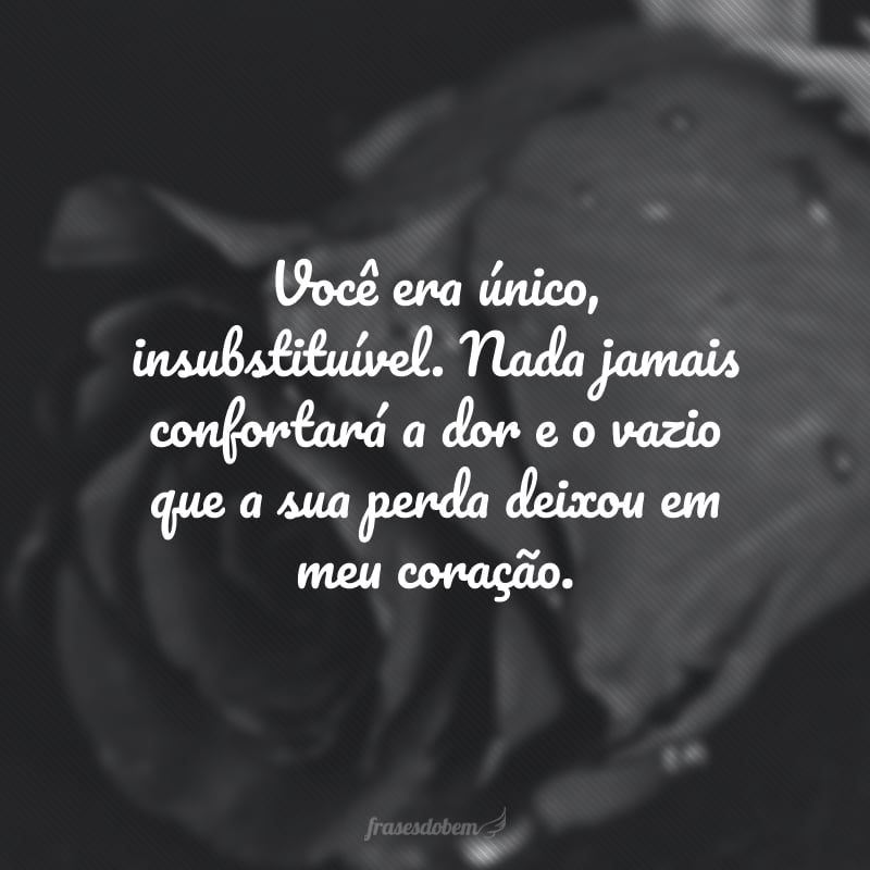 Você era único, insubstituível. Nada jamais confortará a dor e o vazio que a sua perda deixou em meu coração. 