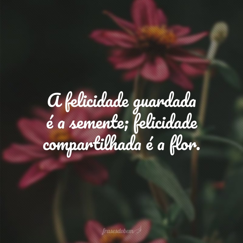 A felicidade guardada é a semente; felicidade compartilhada é a flor.