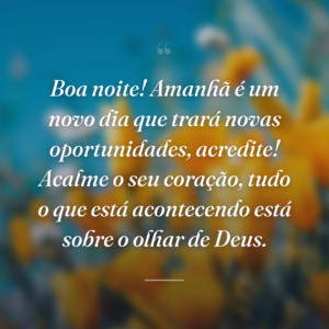 Boa noite! Amanhã é um novo dia que trará novas oportunidades, acredite! Acalme o seu coração, tudo o que está acontecendo está sobre o olhar de Deus.