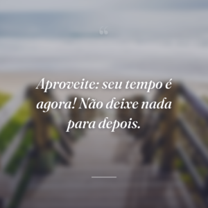 Aproveite: seu tempo é agora! Não deixe nada para depois.