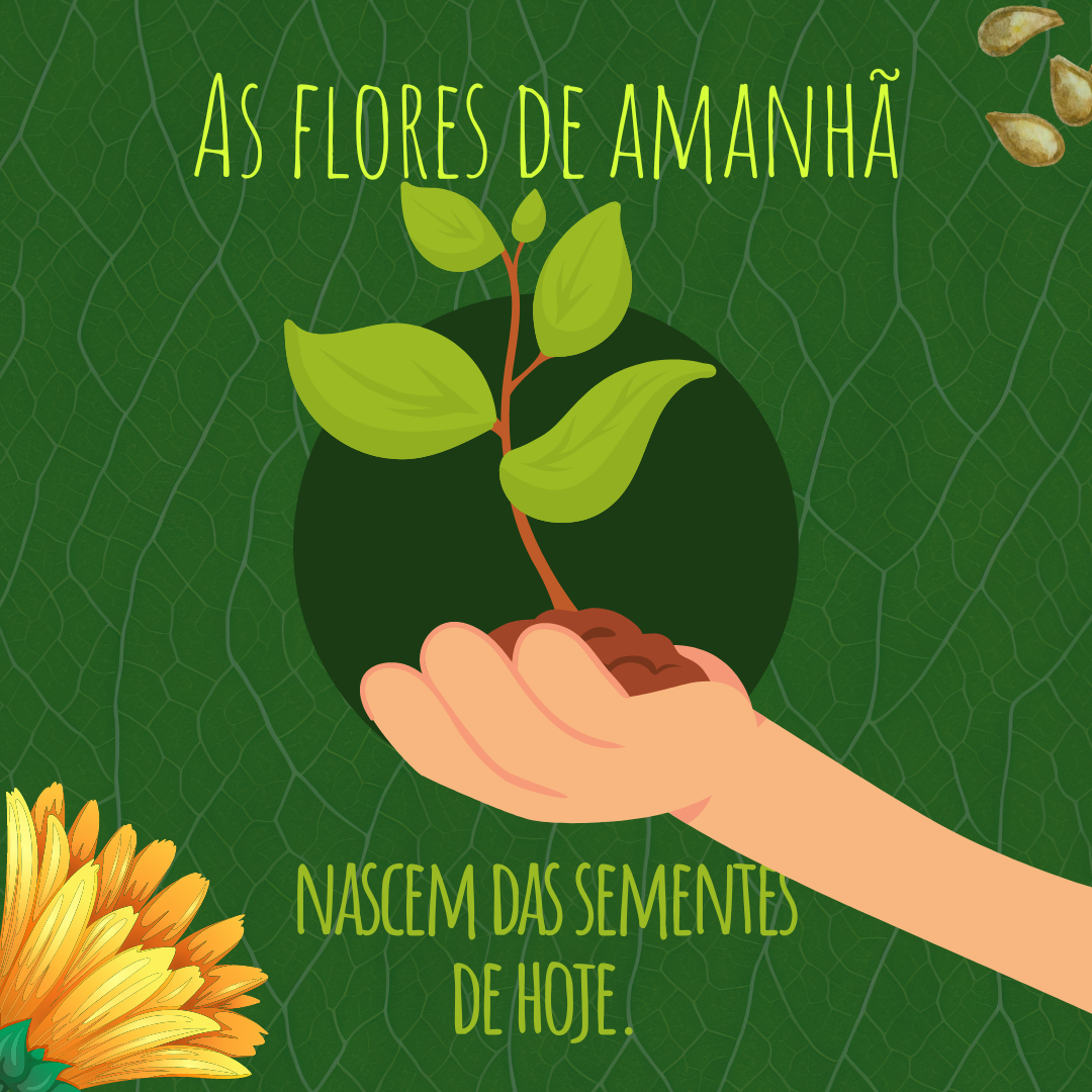 As flores de amanhã nascem das sementes de hoje.