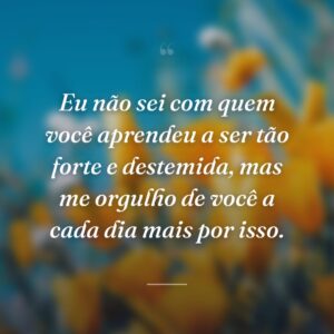 Eu não sei com quem você aprendeu a ser tão forte e destemida, mas me orgulho de você a cada dia mais por isso.