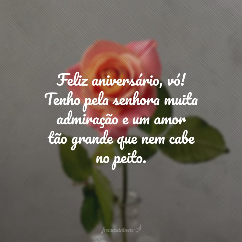 Feliz aniversário, vó! Tenho pela senhora muita admiração e um amor tão grande que nem cabe no peito. Que o sentimento que nos une permaneça sempre assim: forte e inabalável.