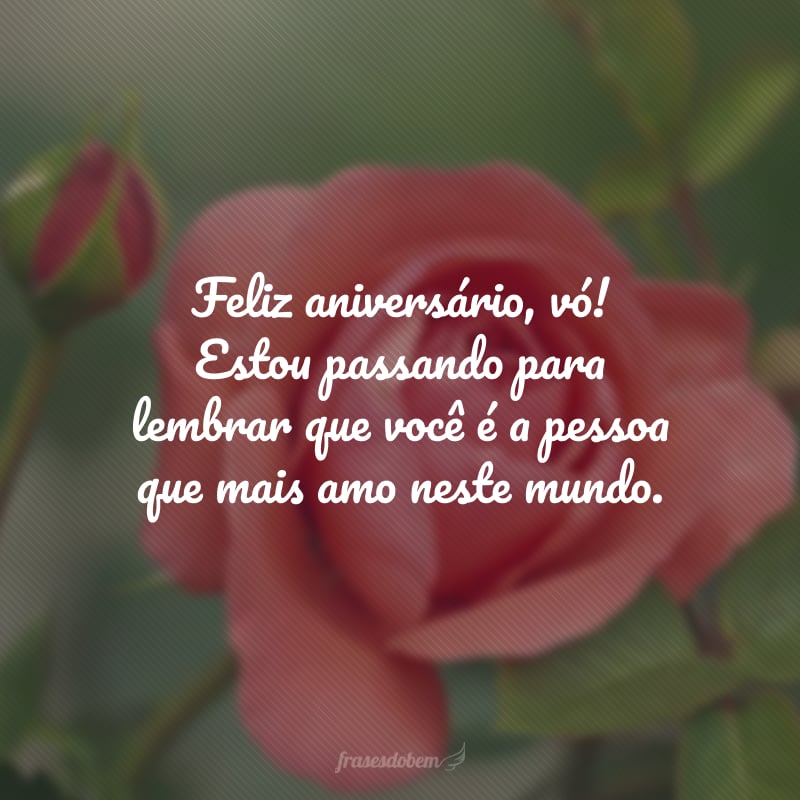 Feliz aniversário, vó! Estou passando para lembrar que você é a pessoa que mais amo neste mundo. Ser seu neto me enche de orgulho e ter você por perto é uma dádiva para mim.