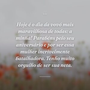 Hoje é o dia da vovó mais maravilhosa de todas: a minha! Parabéns pelo seu aniversário e por ser essa mulher incrivelmente batalhadora. Tenho muito orgulho de ser sua neta.
