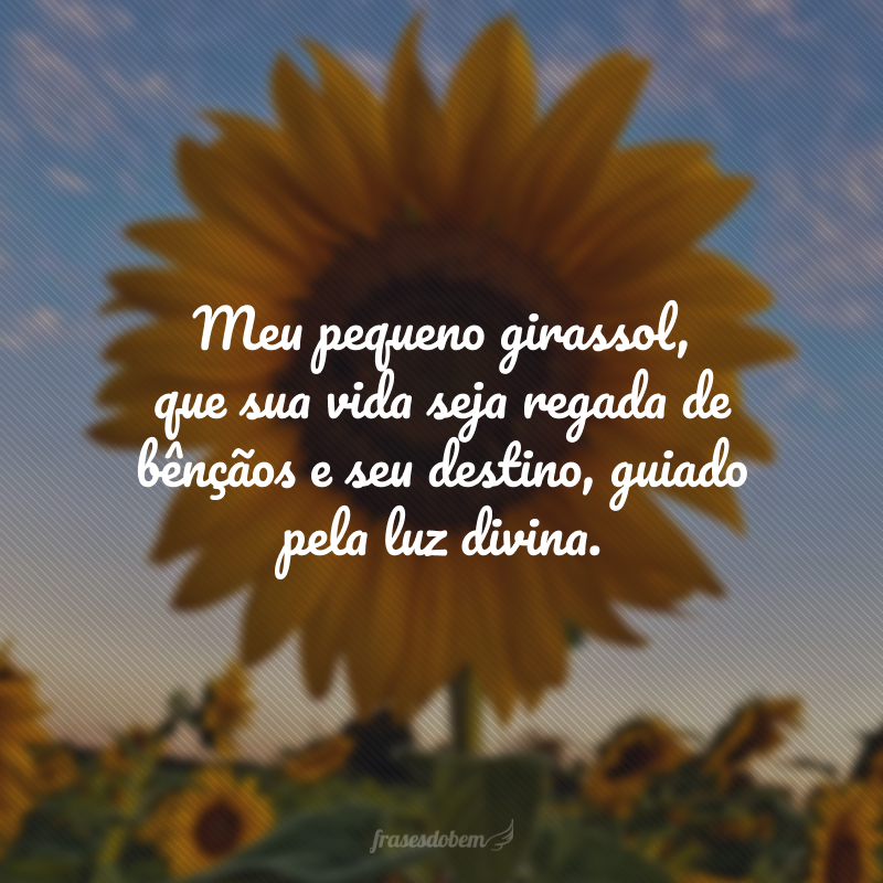 Meu pequeno girassol, que sua vida seja regada de bênçãos e seu destino, guiado pela luz divina. 