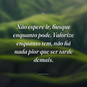 Não espere ir, busque enquanto pode. Valorize enquanto tem, não há nada pior que ser tarde demais.