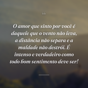 O amor que sinto por você é daquele que o vento não leva, a distância não separa e a maldade não destrói. É intenso e verdadeiro como todo bom sentimento deve ser!