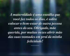 A maternidade é uma escolha que você faz todos os dias, é sobre colocar o bem-estar de outra pessoa antes do seu. Obrigado, mãe querida, por muitas vezes abrir mão das suas vontades em prol da minha felicidade!