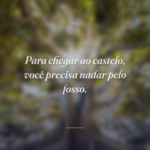 Para chegar ao castelo, você precisa nadar pelo fosso.