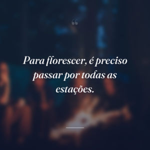 Para florescer, é preciso passar por todas as estações.