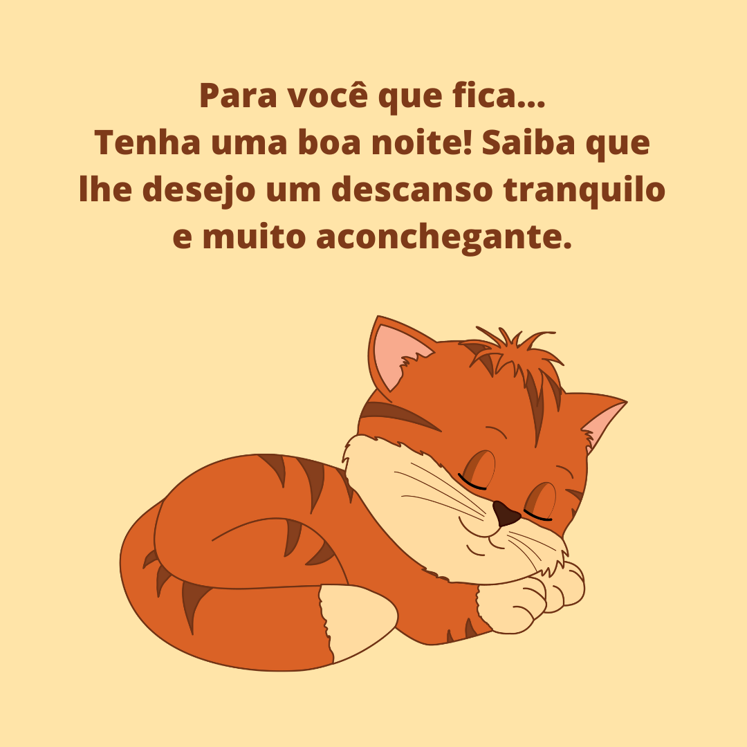 Para você que fica... Tenha uma boa noite! Saiba que lhe desejo um descanso tranquilo e muito aconchegante.