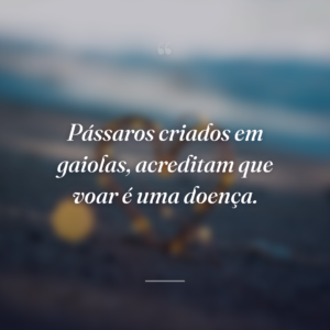 Pássaros criados em gaiolas, acreditam que voar é uma doença.