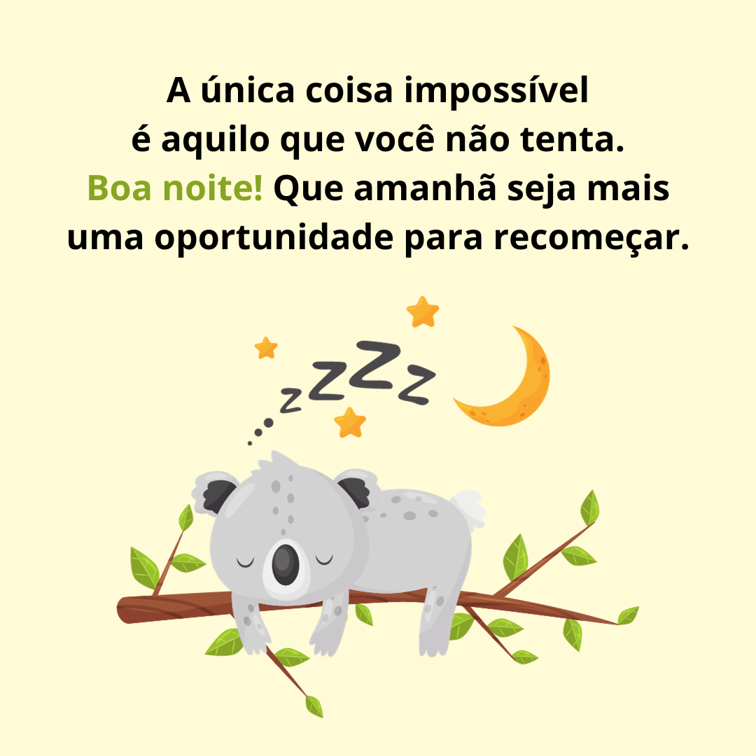 A única coisa impossível é aquilo que você não tenta. Boa noite! Que amanhã seja mais uma oportunidade para recomeçar.