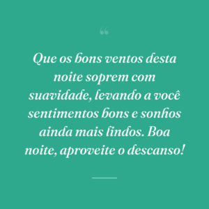 Que os bons ventos desta noite soprem com suavidade, levando a você sentimentos bons e sonhos ainda mais lindos. Boa noite, aproveite o descanso!