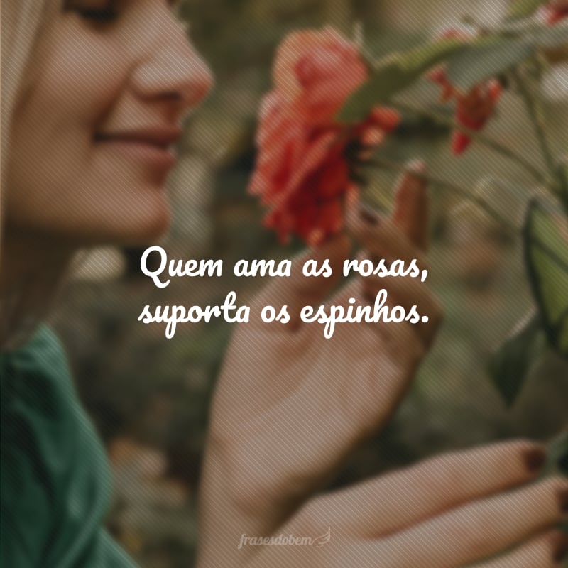 Quem ama as rosas, suporta os espinhos.