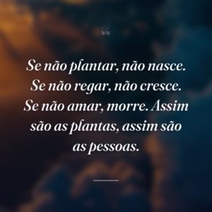 Se não plantar, não nasce. Se não regar, não cresce. Se não amar, morre. Assim são as plantas, assim são as pessoas.
