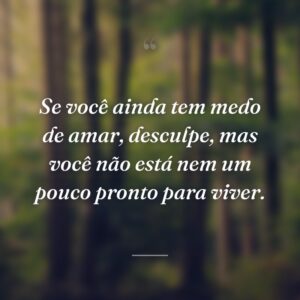 Se você ainda tem medo de amar, desculpe, mas você não está nem um pouco pronto para viver.