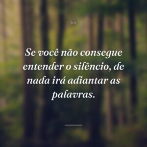 Se você não consegue entender o silêncio, de nada irá adiantar as palavras.