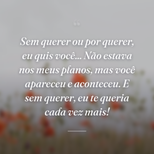 Sem querer ou por querer, eu quis você... Não estava nos meus planos, mas você apareceu e aconteceu. E sem querer, eu te queria cada vez mais!