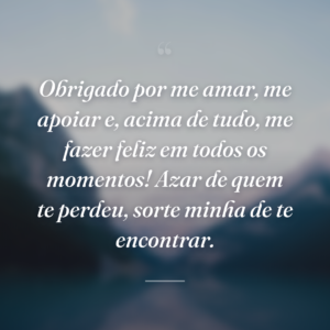 Obrigado por me amar, me apoiar e, acima de tudo, me fazer feliz em todos os momentos! Azar de quem te perdeu, sorte minha de te encontrar.