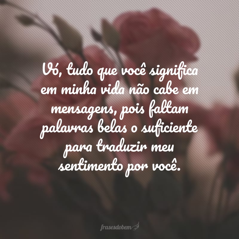 Vó, tudo que você significa em minha vida não cabe em mensagens, pois faltam palavras belas o suficiente para traduzir meu sentimento por você. Por isso, comemorar seu aniversário é uma alegria e uma prioridade para mim. Parabéns pelo seu dia, minha rainha!