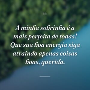 A minha sobrinha é a mais perfeita de todas! Que sua boa energia siga atraindo apenas coisas boas, querida.