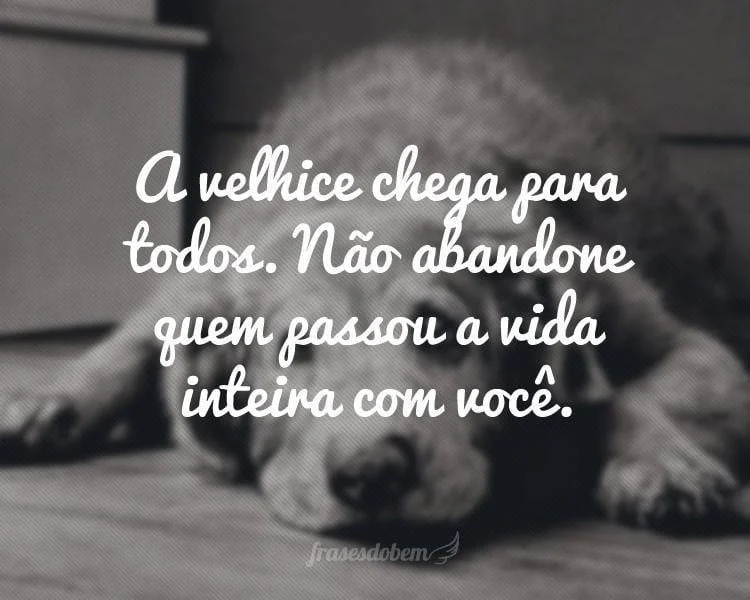 A velhice chega para todos. Não abandone quem passou a vida inteira com você para garantir sua juventude.