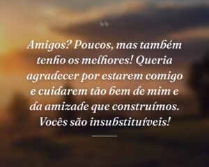 Amigos? Poucos, mas também tenho os melhores! Queria agradecer por estarem comigo e cuidarem tão bem de mim e da amizade que construímos. Vocês são insubstituíveis!