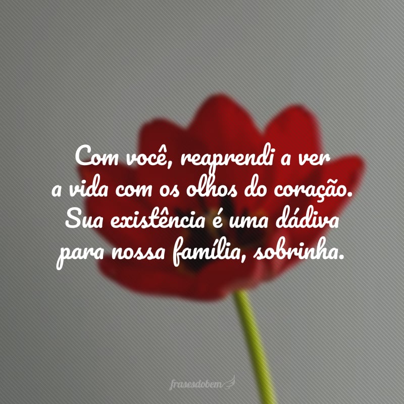 Com você, reaprendi a ver a vida com os olhos do coração. Sua existência é uma dádiva para nossa família, sobrinha.