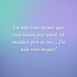 Eu não vou negar que sou louco por você, tô maluco pra te ver... Eu não vou negar!