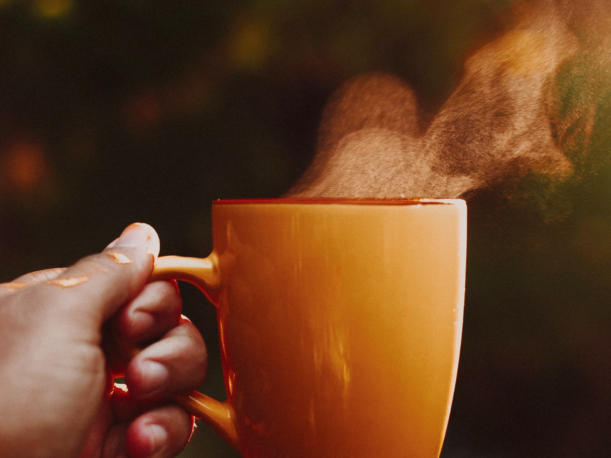 120 frases de bom dia para uma manhã perfeita e agradável