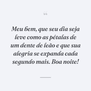 Meu bem, que seu dia seja leve como as pétalas de um dente de leão e que sua alegria se expanda cada segundo mais. Boa noite!